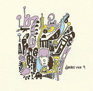 Damien Rice - 9 Crimes Album Cover