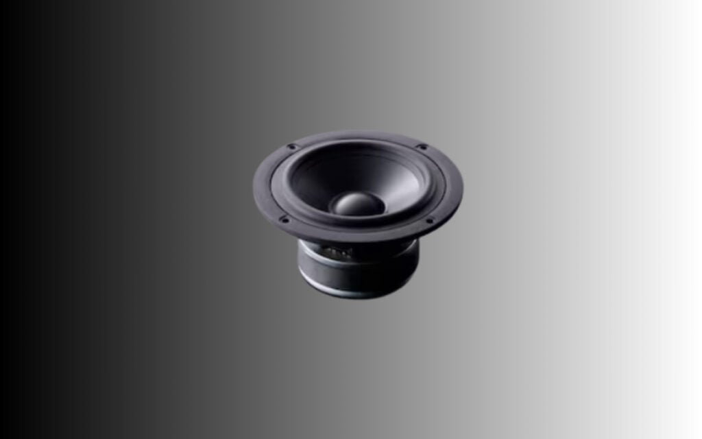 Sony SSCS5