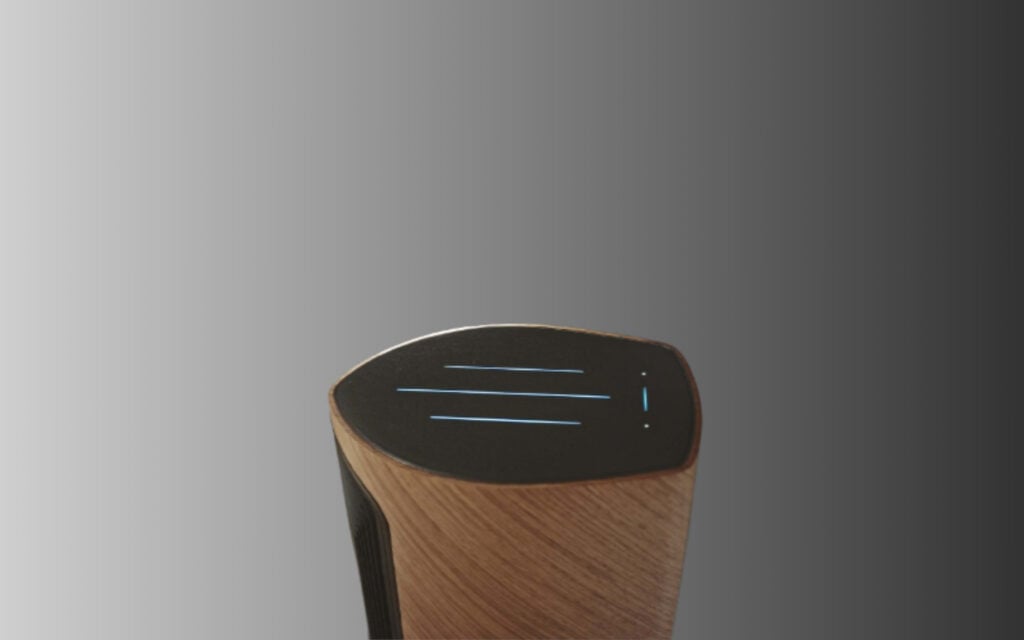 Sonus faber Duetto
